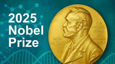 2025 Nobel Prize honours trio for immune system regulation discoveries